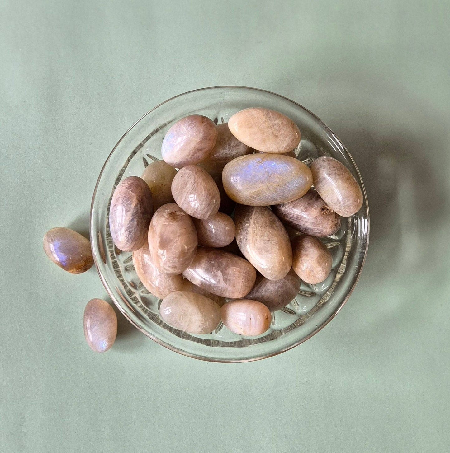 PFIRSISCH MONDSTEIN TROMMELSTEIN