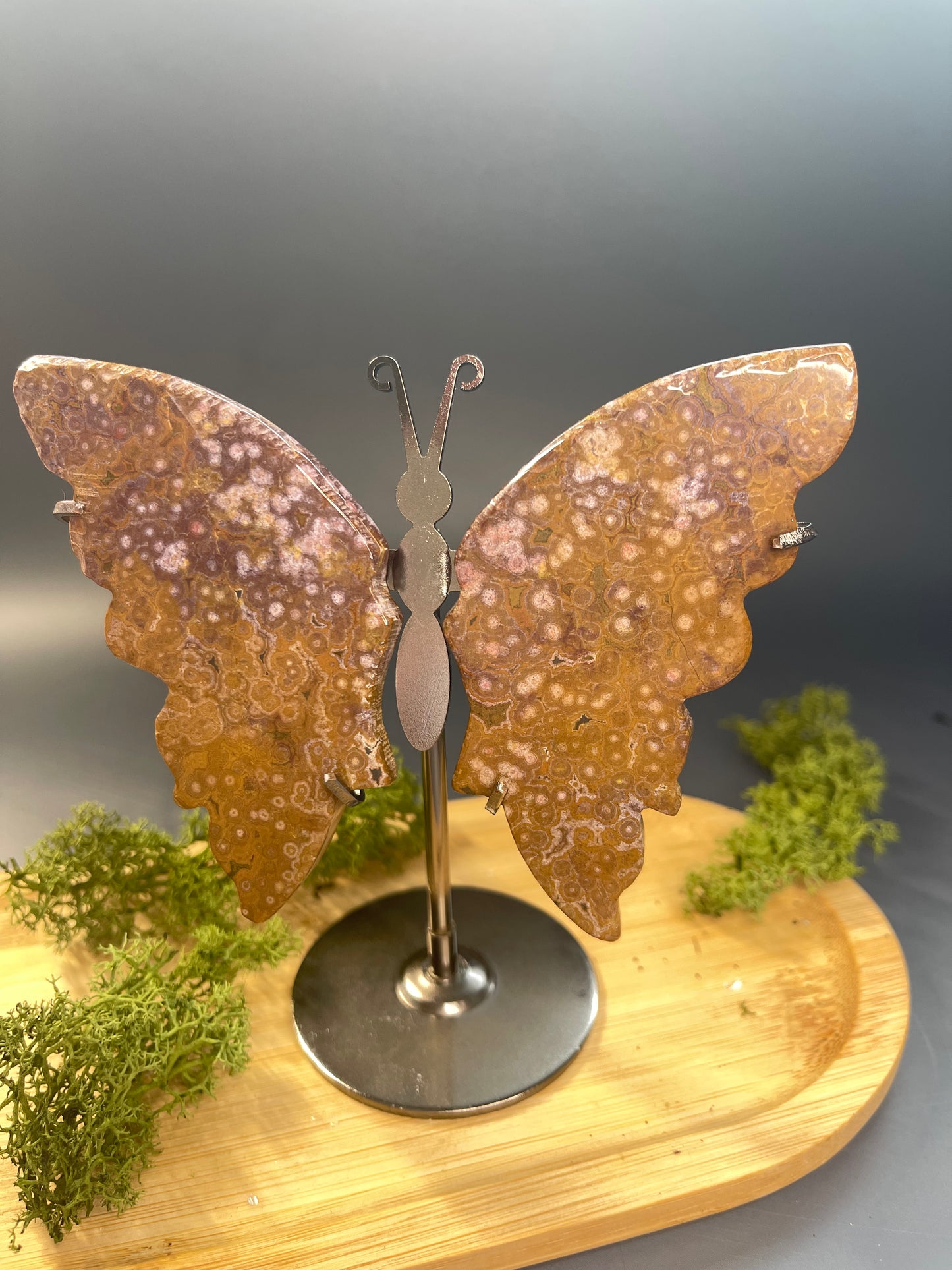 OZEAN JASPIS - SCHMETTERLING