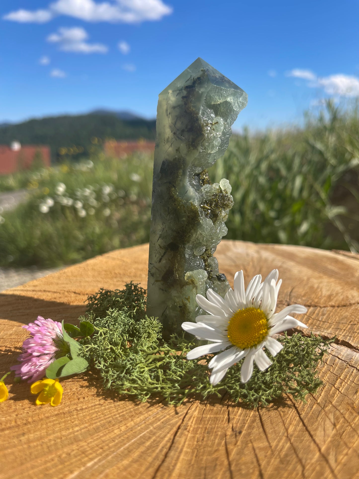 PREHNIT TURM HALB ROHKRISTALL | Spiritueller Edelstein für inneren Frieden & bedingungslose Liebe. ca. 12,5 cm, 220 g