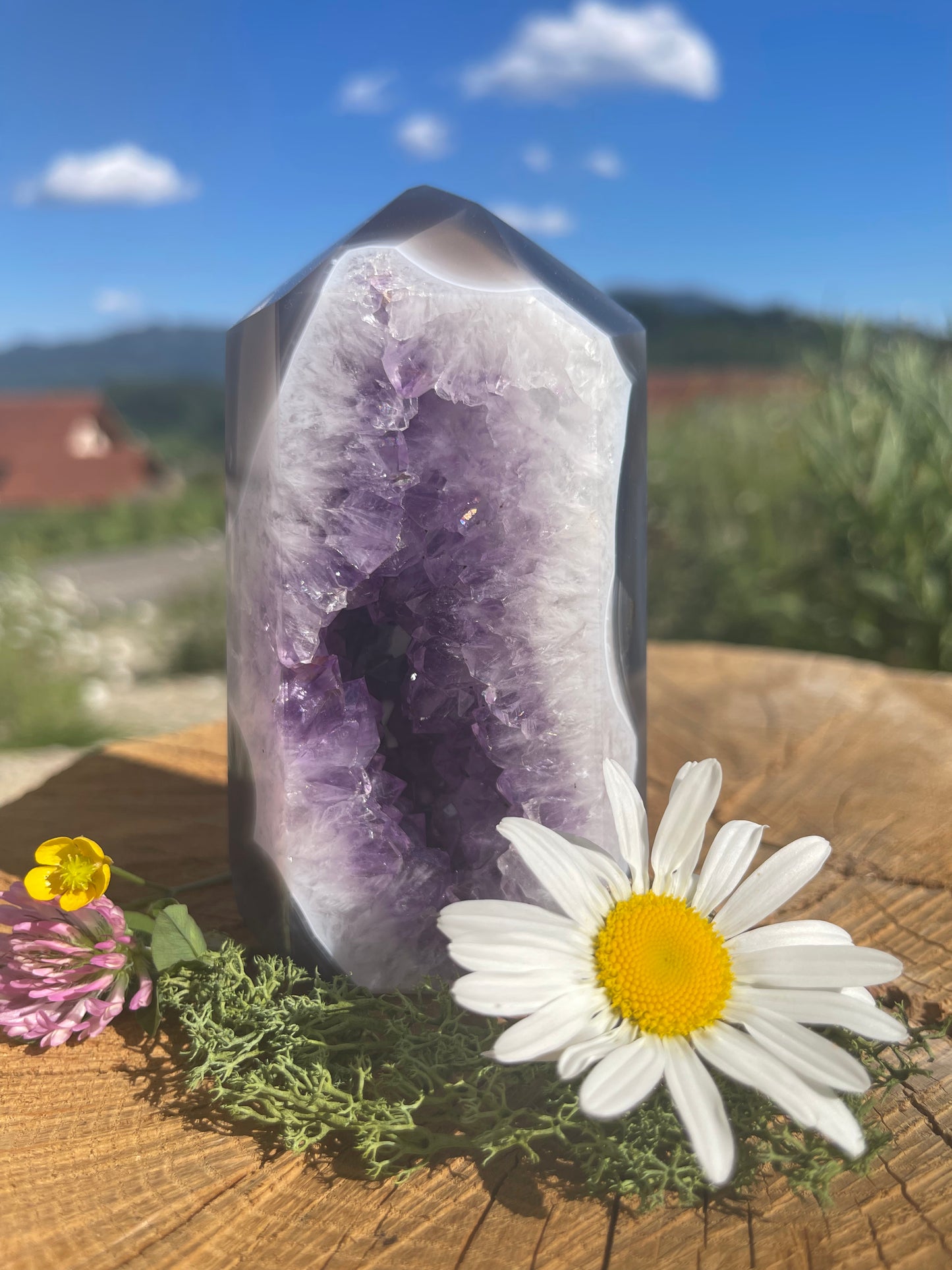 GEHEIMNISSVOLLE AMETHYST ACHAT DRUSE - 583g, 110 mm
