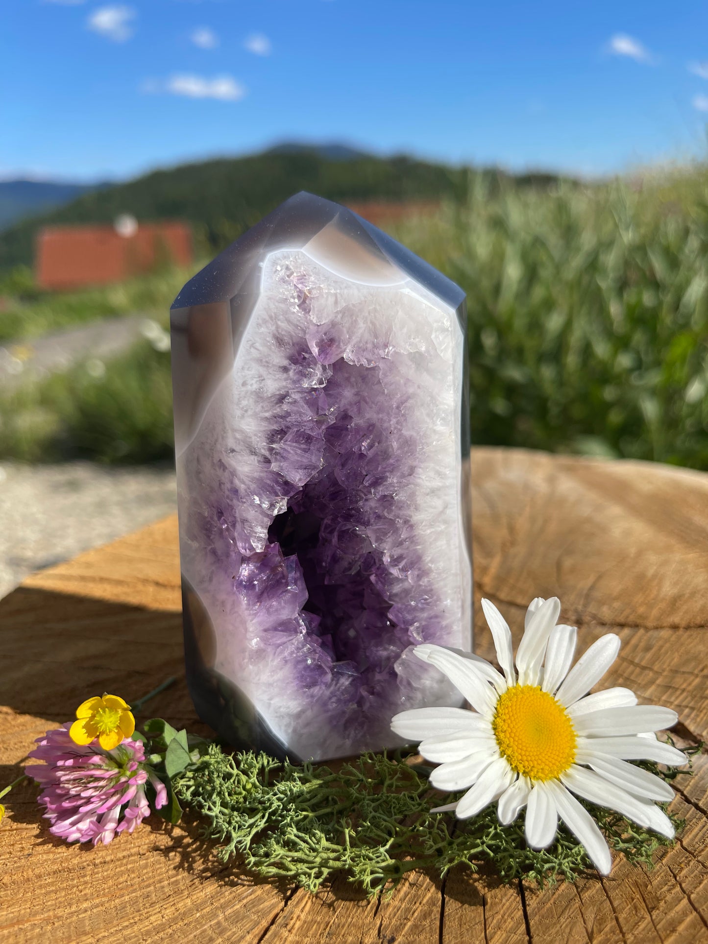 GEHEIMNISSVOLLE AMETHYST ACHAT DRUSE - 583g, 110 mm