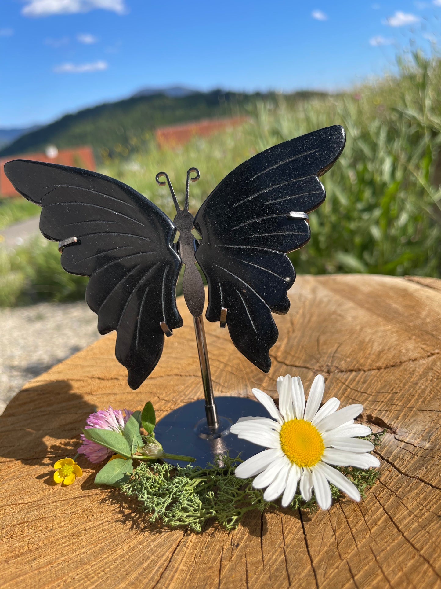 OBSIDIAN SCHMETTERLING | Schutzstein für Transformation & Erdung | ca. 170 g 12,5 cm Höhe inkl. Ständer
