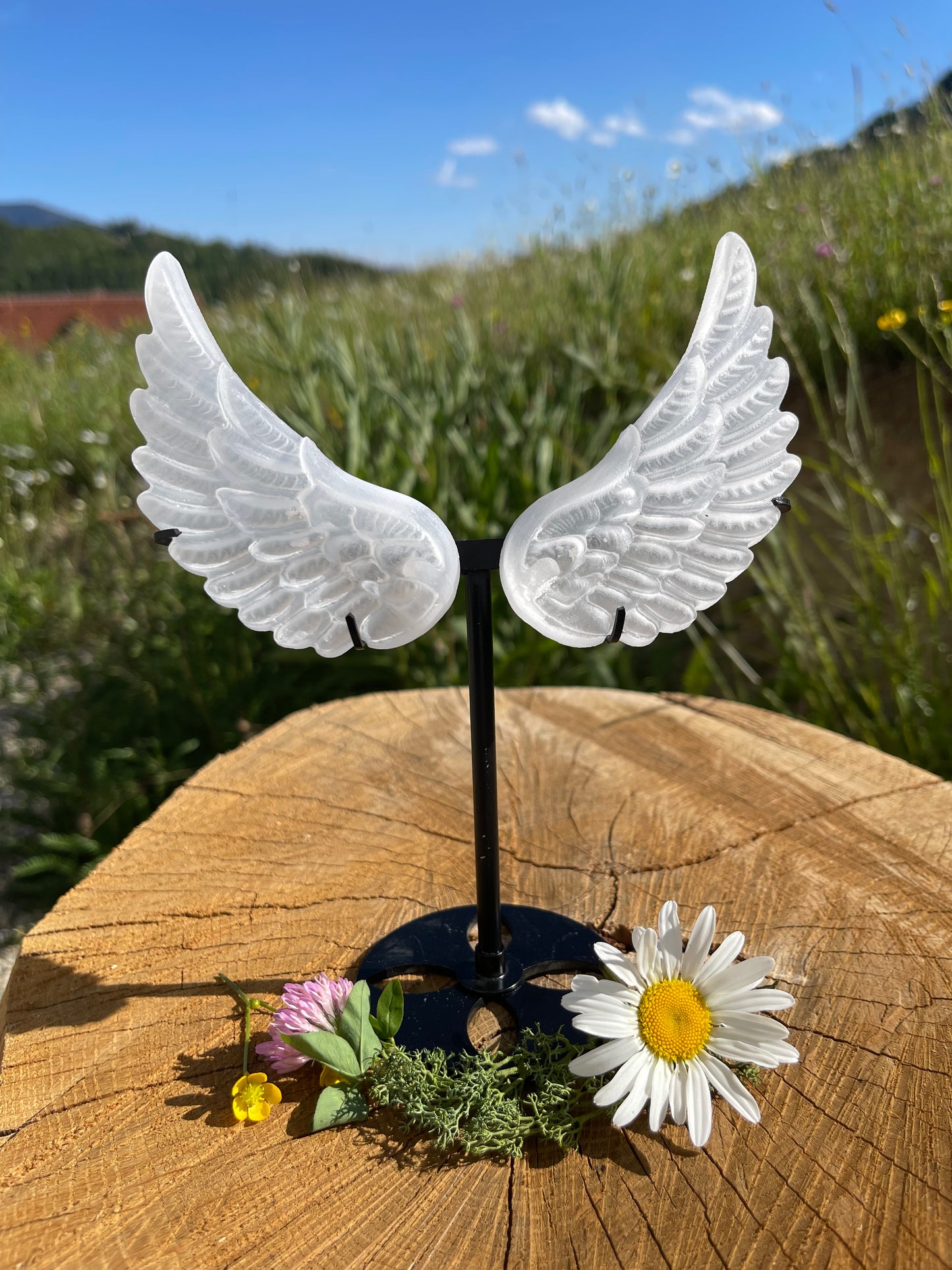 SELENIT ENGELSFLÜGEL - | Lichtstein für Reinigung & Schutz | Spiritueller Edelstein für Meditation & Energiearbeit | 180 - 200 g inklusive Ständer, ca. 10 cm Länge pro Flügel