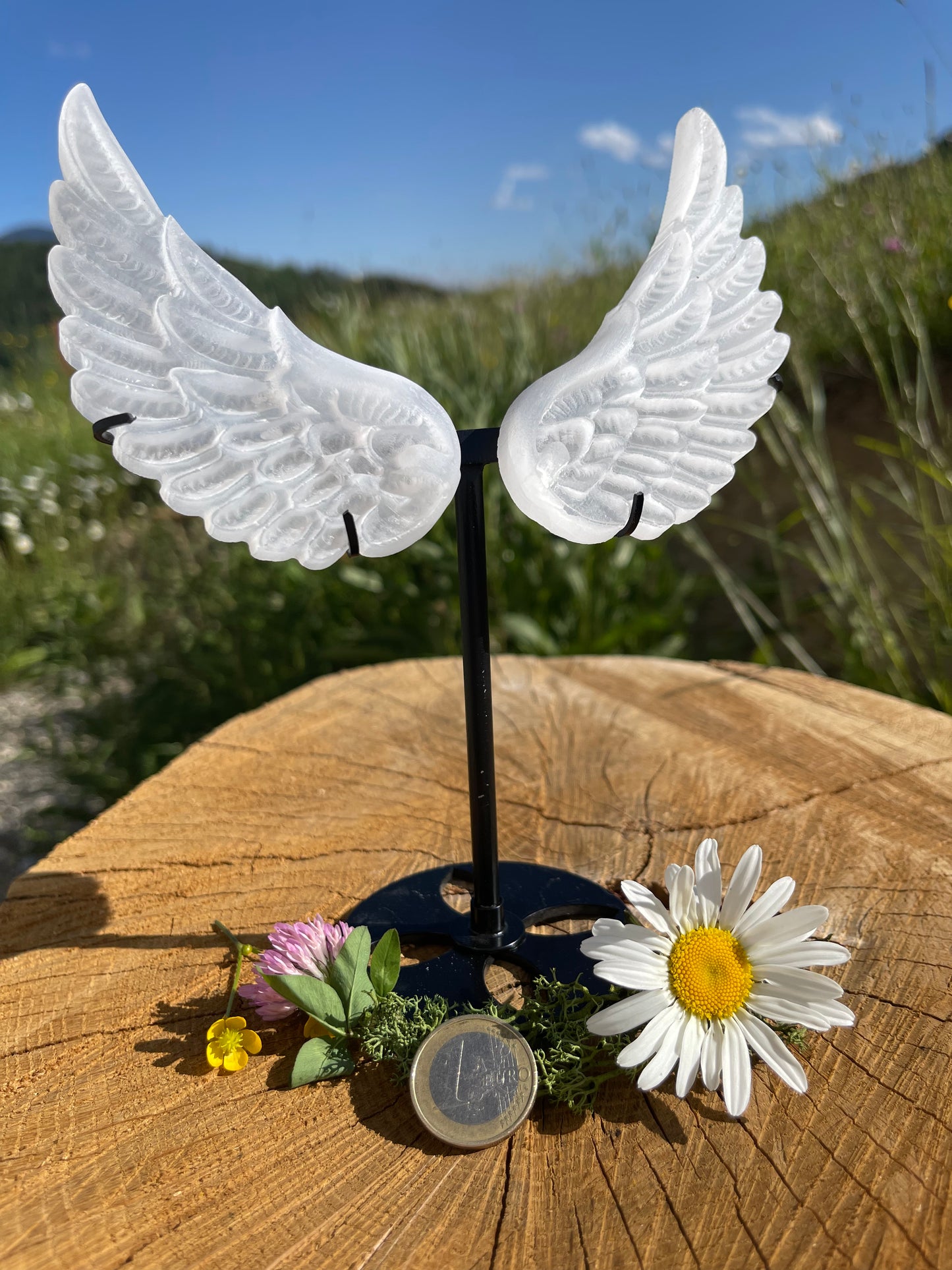 SELENIT ENGELSFLÜGEL - | Lichtstein für Reinigung & Schutz | Spiritueller Edelstein für Meditation & Energiearbeit | 180 - 200 g inklusive Ständer, ca. 10 cm Länge pro Flügel