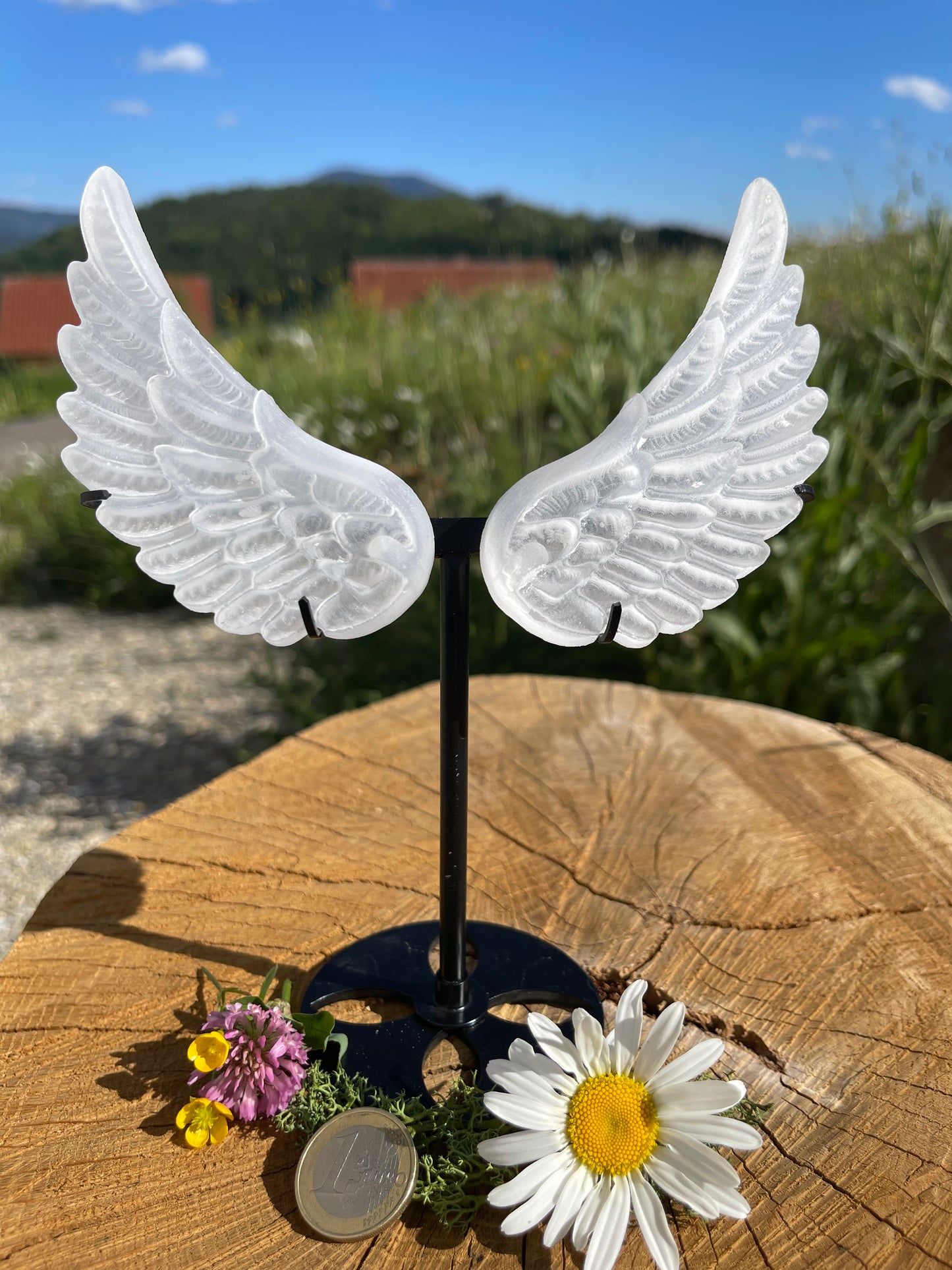 SELENIT ENGELSFLÜGEL - | Lichtstein für Reinigung & Schutz | Spiritueller Edelstein für Meditation & Energiearbeit | 180 - 200 g inklusive Ständer, ca. 10 cm Länge pro Flügel