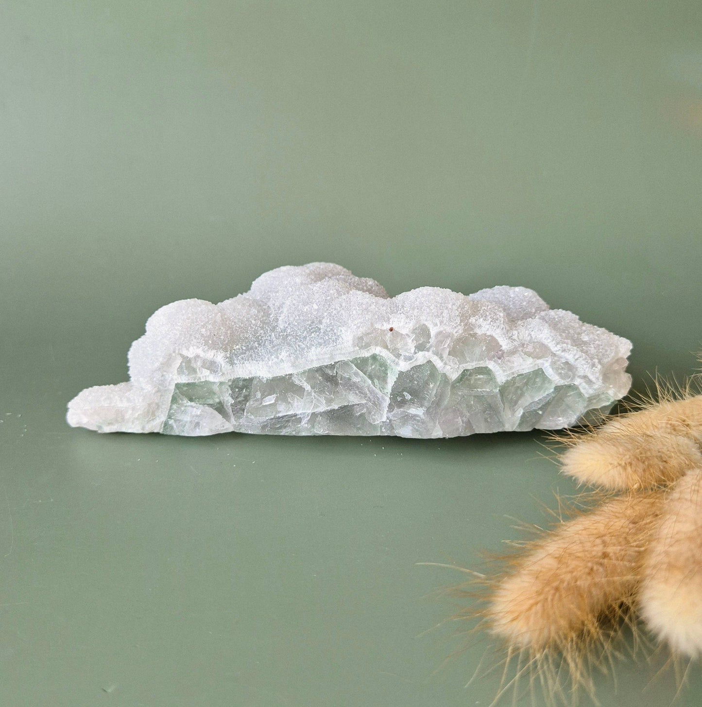 XL GRÜNER FLUORIT DRUSEN CLUSTER (629 g)