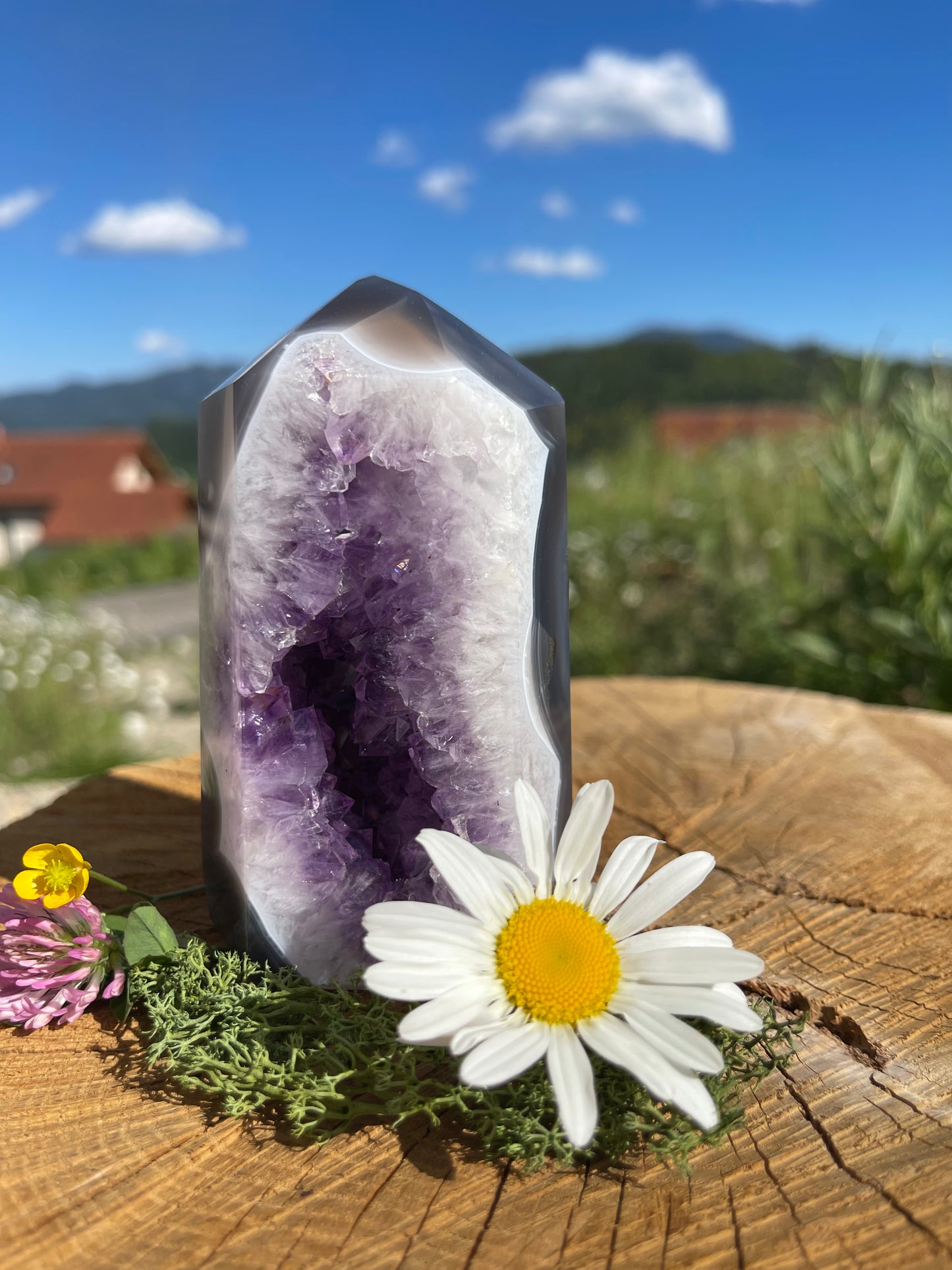 GEHEIMNISSVOLLE AMETHYST ACHAT DRUSE - 583g, 110 mm